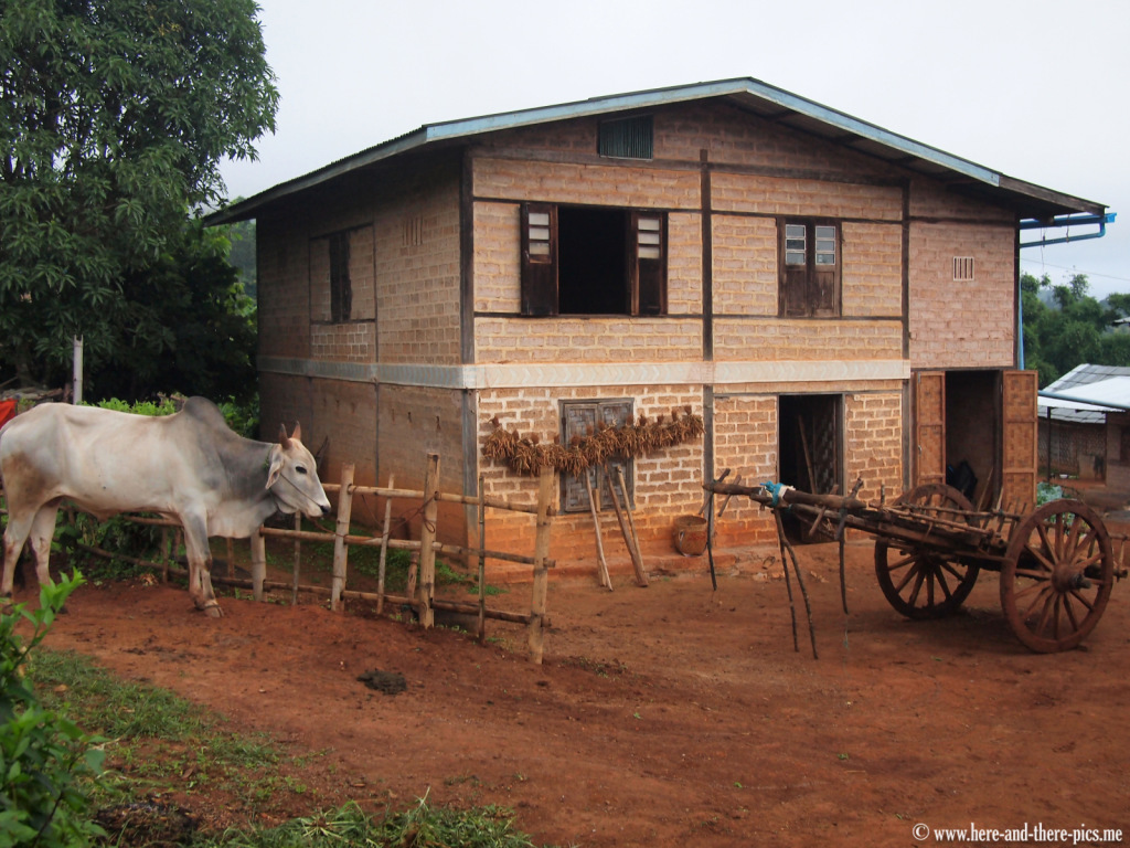 Typical house of a farmer in a small Danu village