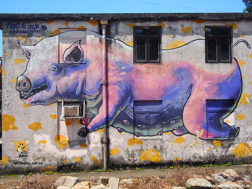 Pig graff in Lamma Island, in hong kong