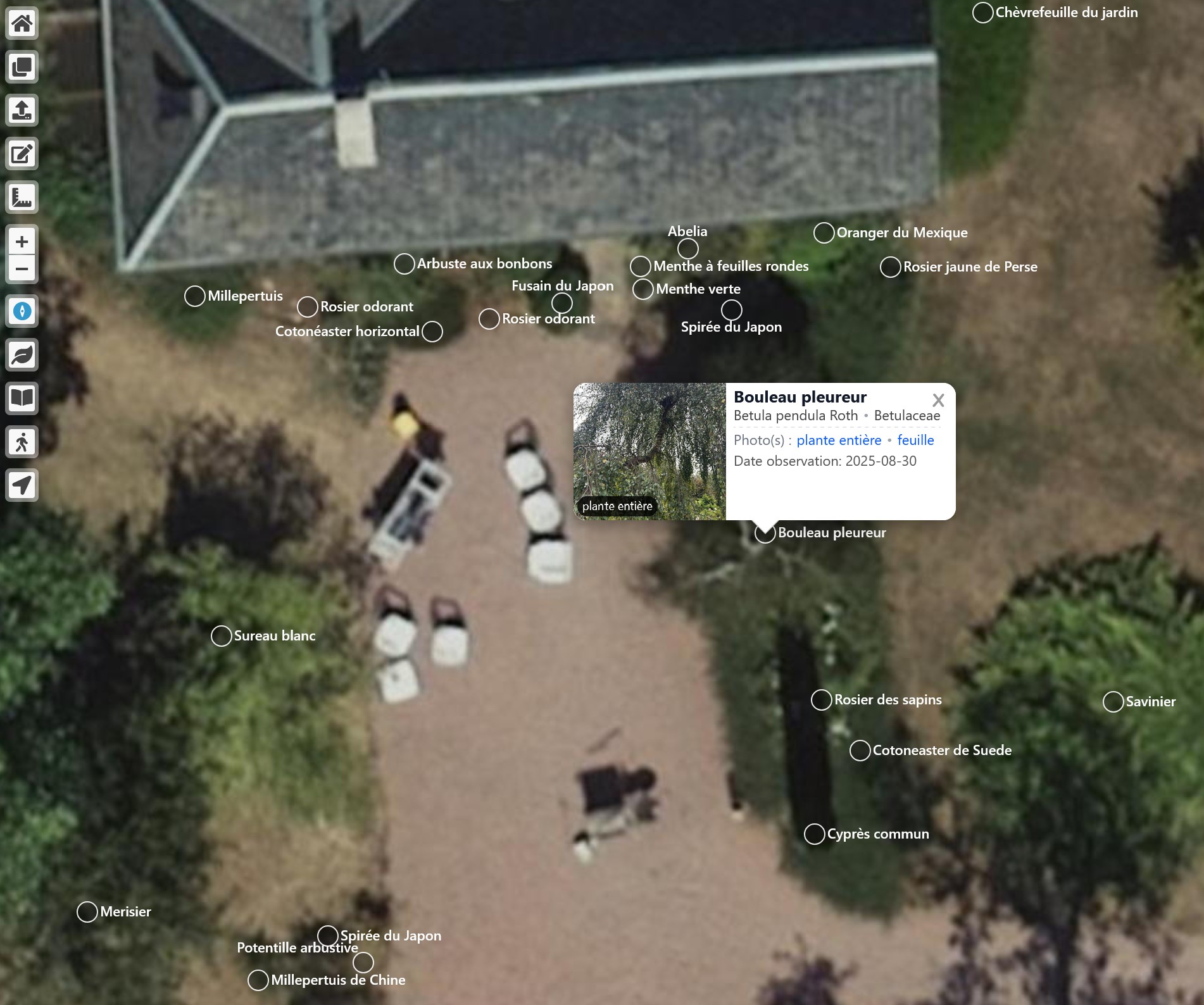 Interactive garden species map thumbnail