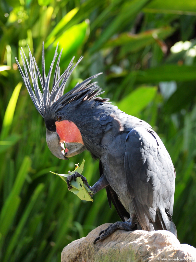 Ubud, Bali, Indonesia