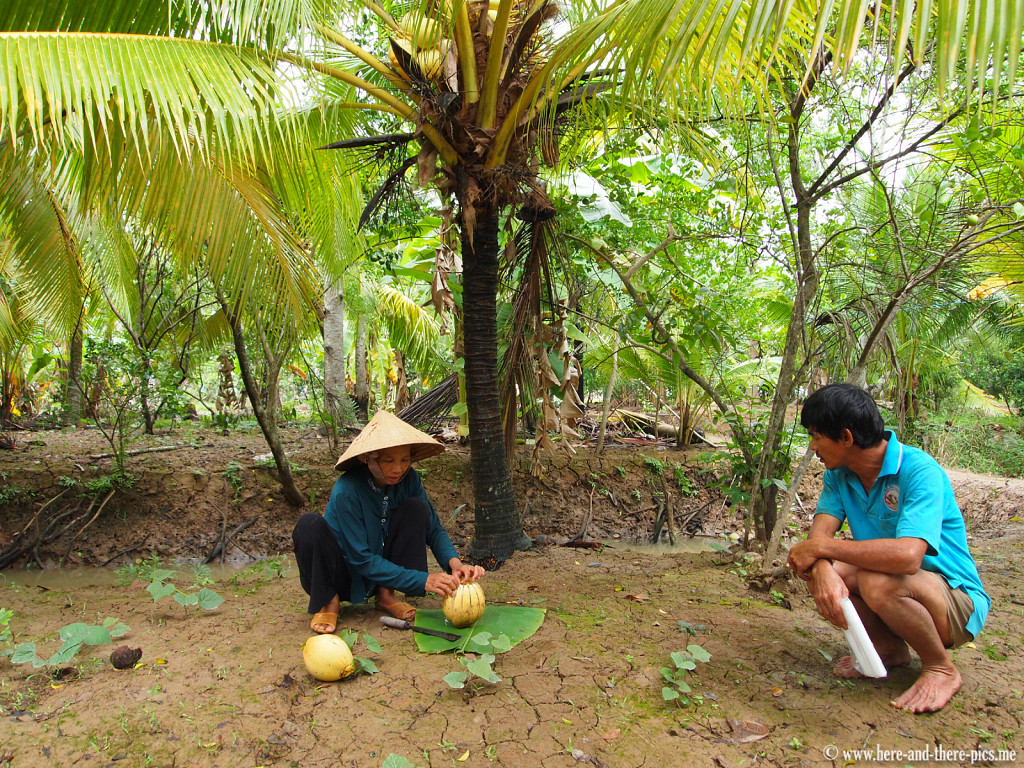 Mekong Delta Vietnam