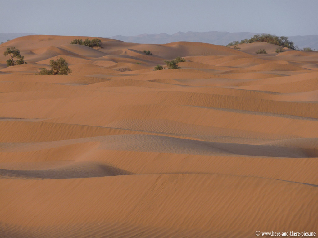 South of Mhamid, Morocco