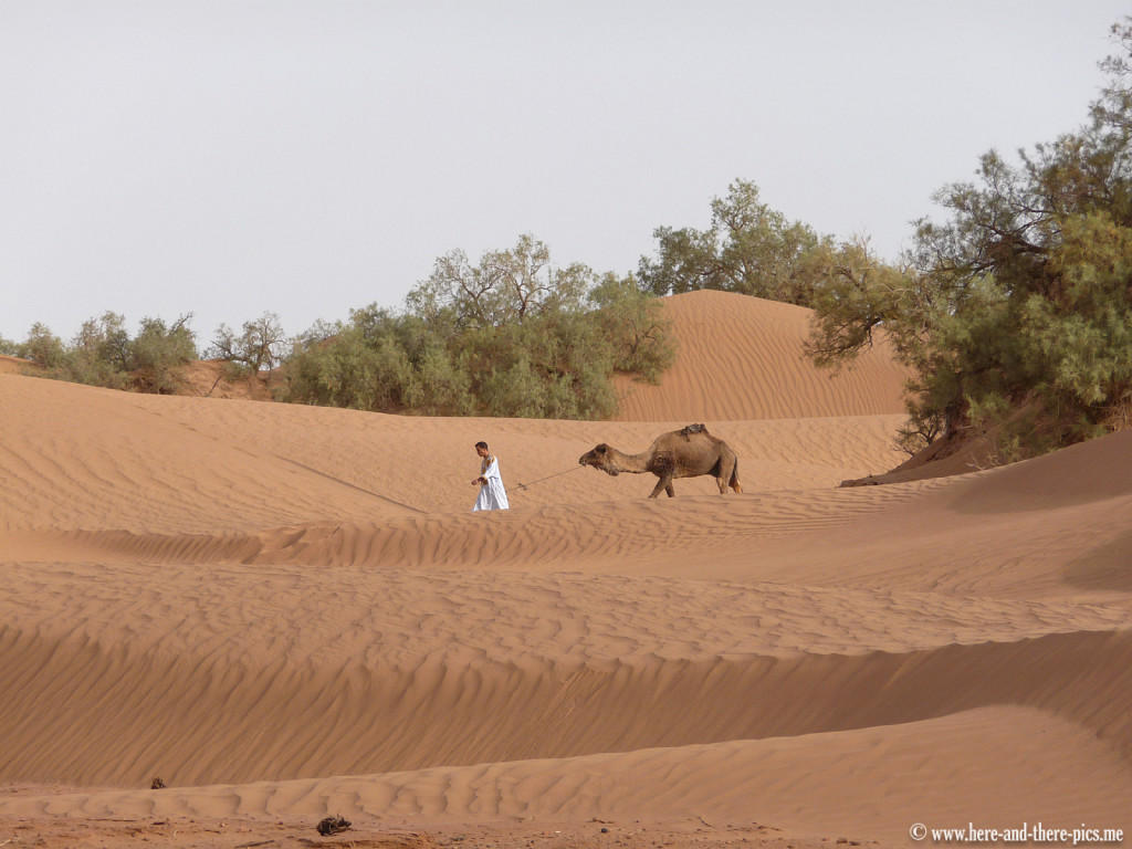 South of Mhamid, Morocco