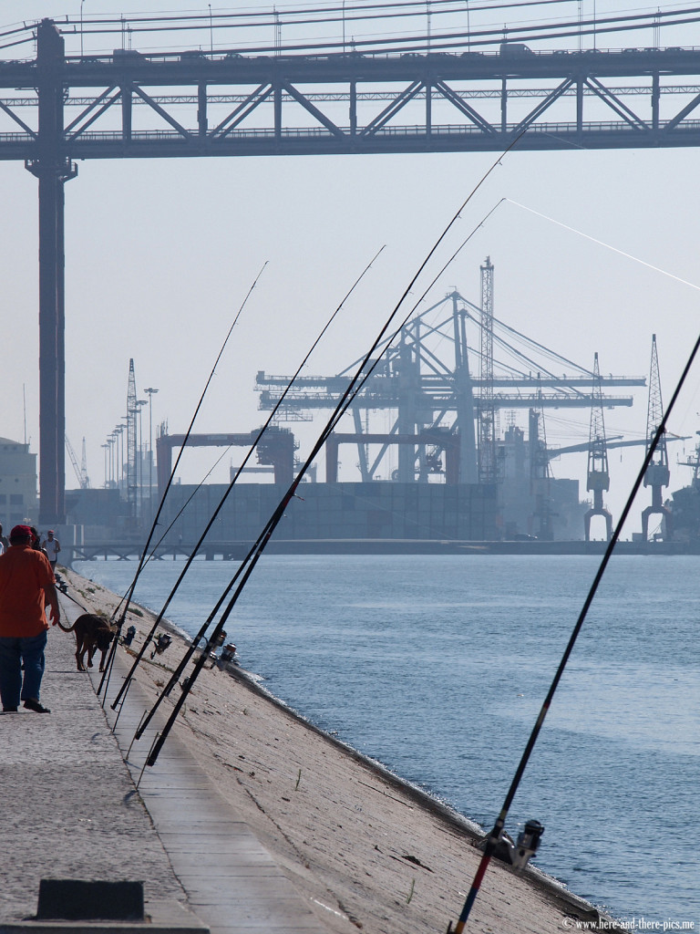 Fishing in Lisbon, Portugal