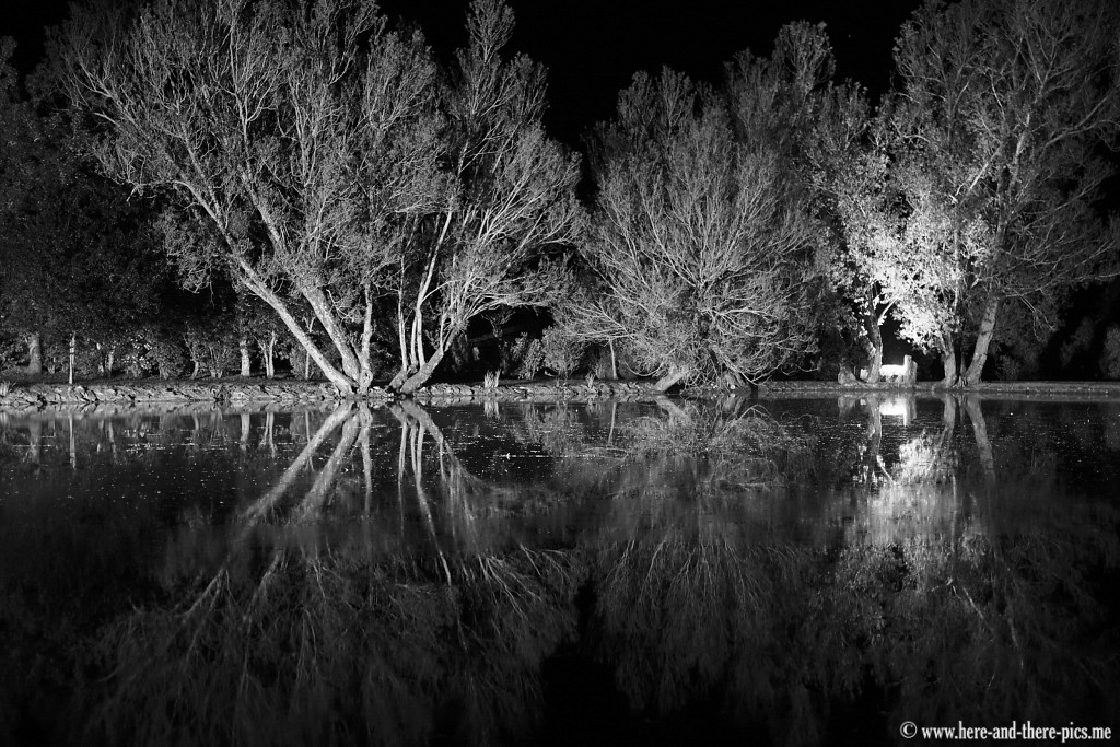 L'Abîme, Sementron by night