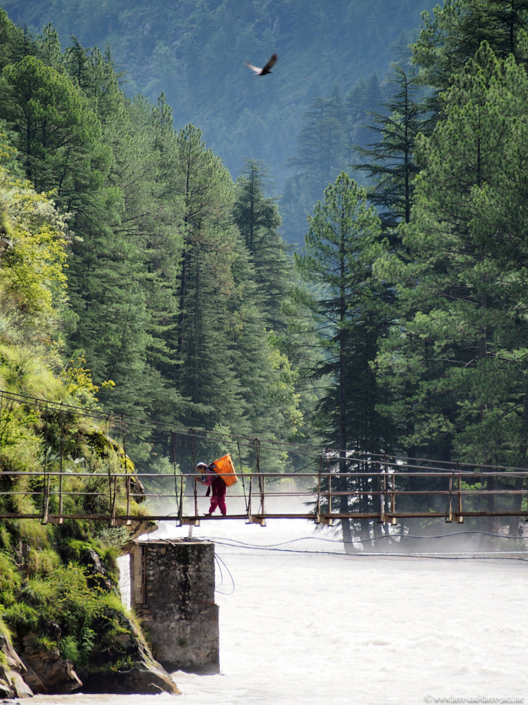 Parvati Valley in the Kullu District of Himachal Pradesh