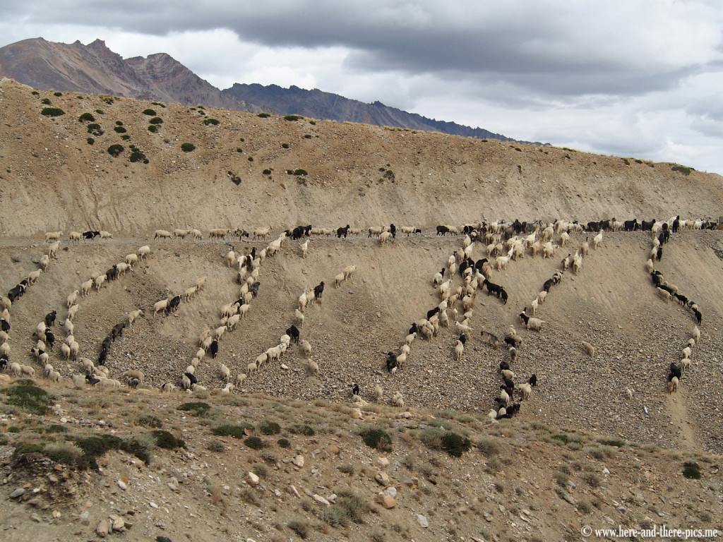 Road from Manali to leh