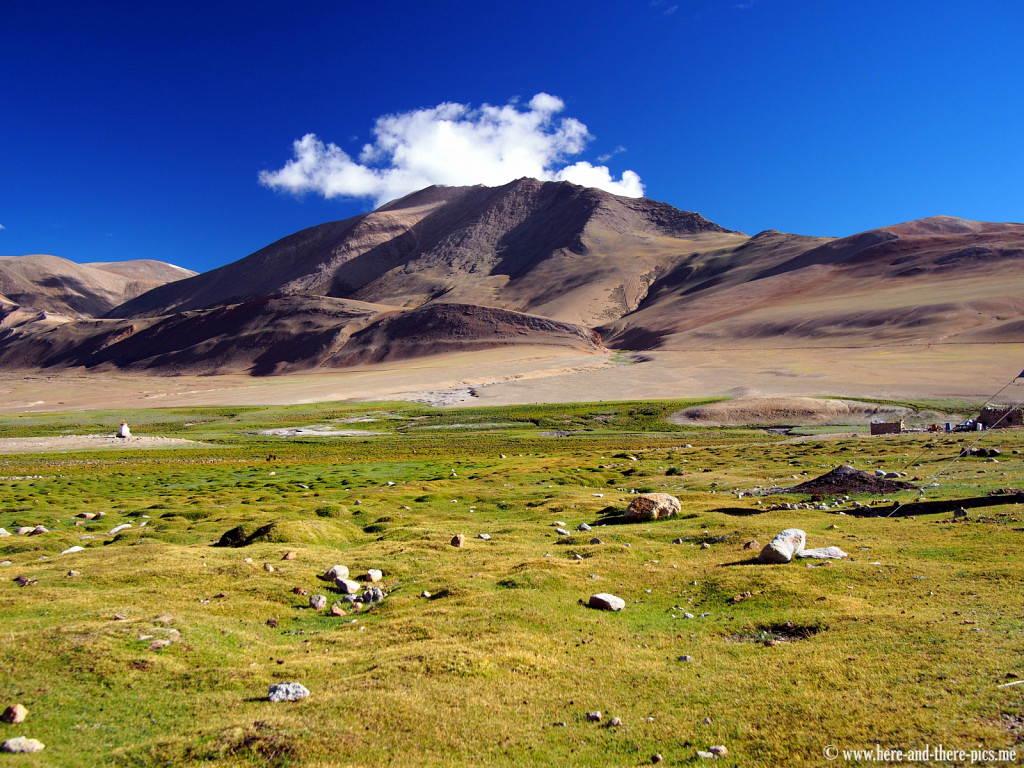 Nomads camp near Korzok and Tso Moriri