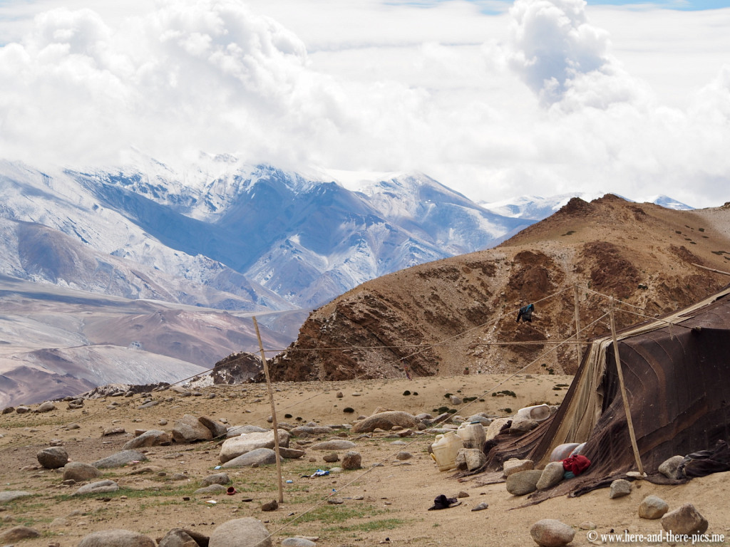 Nomadic tent in Korzok near Tso Moriri 