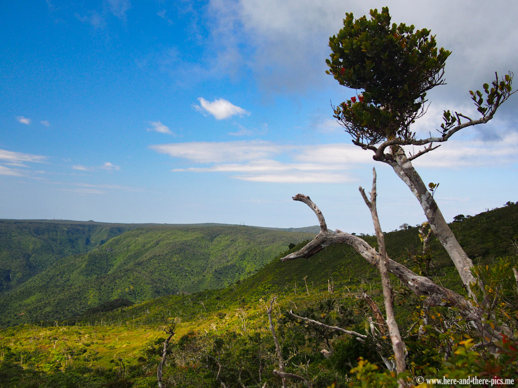 View next to the piton de la petite rivière noir