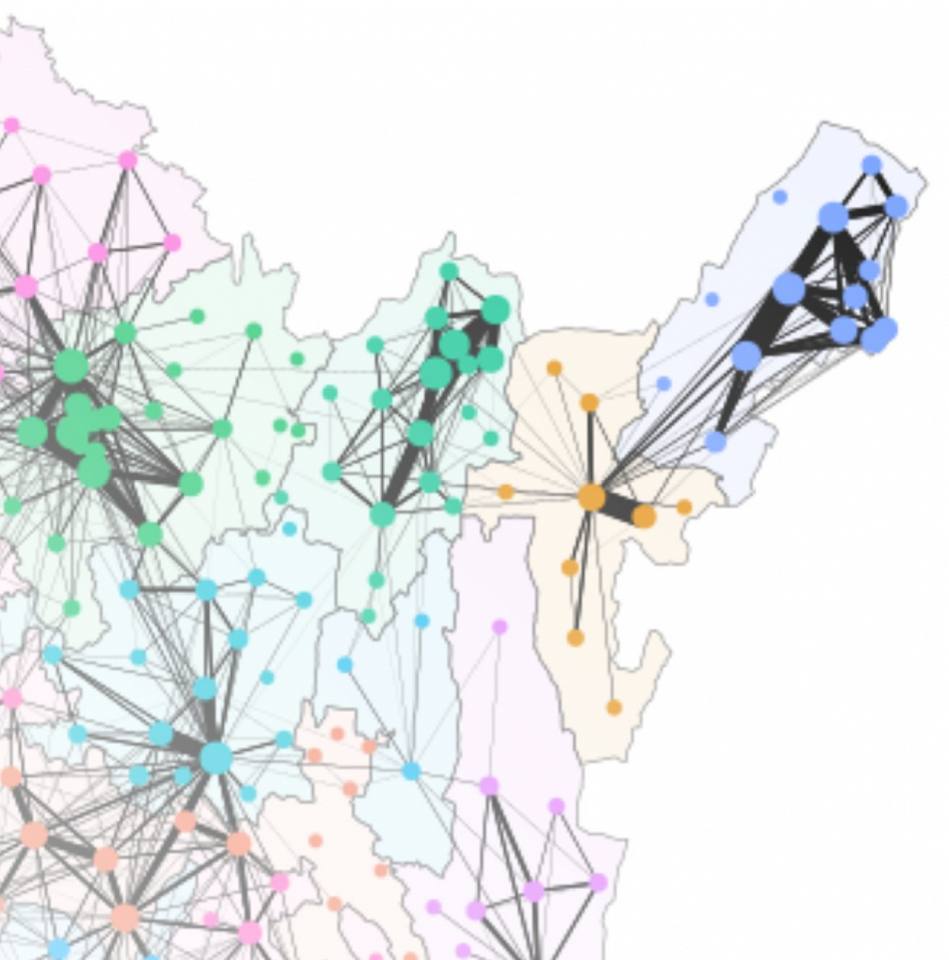 Reticular project illustration